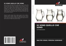 Обложка IO SONO QUELLO CHE SONO