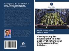 Buchcover von Verringerung der Feuchtigkeit in einer Zuckerrohrpflanze zur Verbesserung ihrer Effizienz