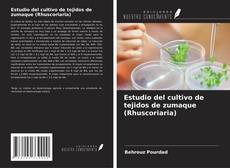 Estudio del cultivo de tejidos de zumaque (Rhuscoriaria)的封面