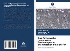 Buchcover von Aus Fettgewebe gewonnene mesenchymale Stammzellen bei Schafen