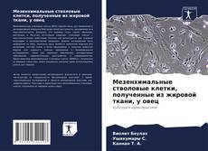 Мезенхимальные стволовые клетки, полученные из жировой ткани, у овец的封面
