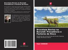 Brucelose Bovina no Burundi: Prevalência e Factores de Risco的封面