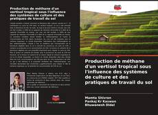 Bookcover of Production de méthane d'un vertisol tropical sous l'influence des systèmes de culture et des pratiques de travail du sol