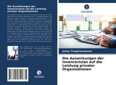 Die Auswirkungen der Innenrevision auf die Leistung privater Organisationen的封面