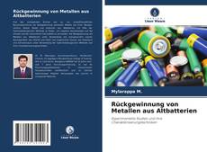 Buchcover von Rückgewinnung von Metallen aus Altbatterien