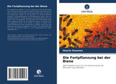 Borítókép a  Die Fortpflanzung bei der Biene - hoz