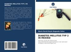 Bookcover of DIABETES MELLITUS TYP 2 IN MEXIKO