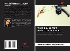 Обложка TYPE 2 DIABETES MELLITUS IN MEXICO