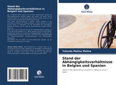 Buchcover von Stand der Abhängigkeitsverhältnisse in Belgien und Spanien