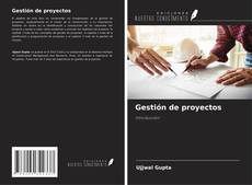Buchcover von Gestión de proyectos