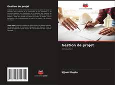 Gestion de projet kitap kapağı
