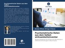 Psychometrische Daten aus dem Selbst- wirksamkeitsinventar的封面