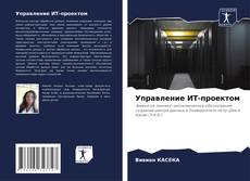 Управление ИТ-проектом的封面