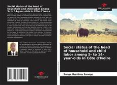 Bookcover of Social status of the head of household and child labor among 5- to 14-year-olds in Côte d'Ivoire