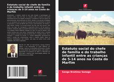 Обложка Estatuto social do chefe de família e do trabalho infantil entre as crianças de 5-14 anos na Costa do Marfim