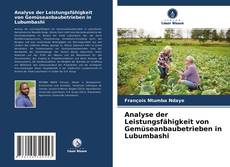 Copertina di Analyse der Leistungsfähigkeit von Gemüseanbaubetrieben in Lubumbashi