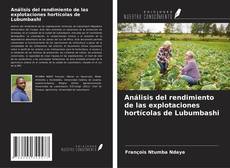 Buchcover von Análisis del rendimiento de las explotaciones hortícolas de Lubumbashi