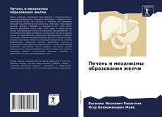 Bookcover of Печень и механизмы образования желчи