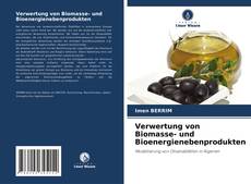 Verwertung von Biomasse- und Bioenergienebenprodukten的封面
