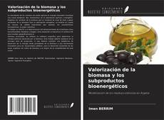 Capa do livro de Valorización de la biomasa y los subproductos bioenergéticos 