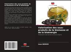 Copertina di Valorisation des sous-produits de la biomasse et de la bioénergie