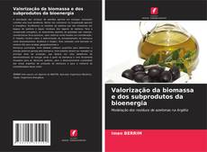 Capa do livro de Valorização da biomassa e dos subprodutos da bioenergia 
