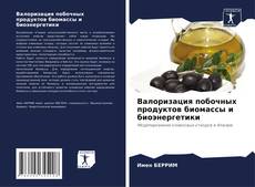 Bookcover of Валоризация побочных продуктов биомассы и биоэнергетики