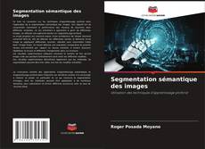 Copertina di Segmentation sémantique des images