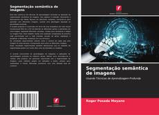 Capa do livro de Segmentação semântica de imagens 
