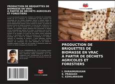 Couverture de PRODUCTION DE BRIQUETTES DE BIOMASSE EN VRAC À PARTIR DE DÉCHETS AGRICOLES ET FORESTIERS