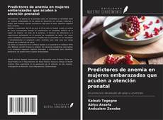 Buchcover von Predictores de anemia en mujeres embarazadas que acuden a atención prenatal