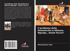 Il problema della domesticità in Mbanza-Ngungu...Quale faccia?的封面