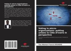 Portada del libro de Voting in micro-organizations: putting unions in Côte d'Ivoire in perspective