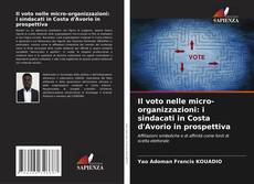 Copertina di Il voto nelle micro-organizzazioni: i sindacati in Costa d'Avorio in prospettiva