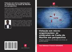 Votação em micro-organizações: os sindicatos na Costa do Marfim em perspectiva kitap kapağı
