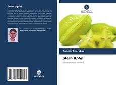 Stern Apfel kitap kapağı