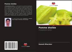 Couverture de Pomme étoilée