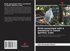 Обложка Birds associated with a marabuzal in Sancti Spíritus, Cuba