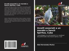 Borítókép a  Uccelli associati a un marabù a Sancti Spíritus, Cuba - hoz