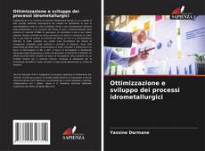 Bookcover of Ottimizzazione e sviluppo dei processi idrometallurgici