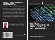 Buchcover von SÍNTESIS Y CARACTERIZACIÓN DE NANOMATERIALES MULTICOMPONENTES