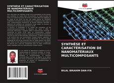 Copertina di SYNTHÈSE ET CARACTÉRISATION DE NANOMATÉRIAUX MULTICOMPOSANTS