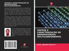 Buchcover von SÍNTESE E CARACTERIZAÇÃO DE NANOMATERIAIS MULTICOMPONENTES