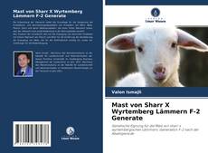 Обложка Mast von Sharr X Wyrtemberg Lämmern F-2 Generate