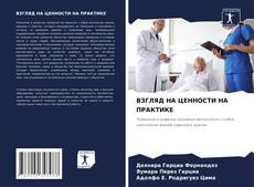 ВЗГЛЯД НА ЦЕННОСТИ НА ПРАКТИКЕ的封面