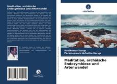 Meditation, archäische Endosymbiose und Artenwandel的封面