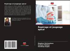 Borítókép a  Repérage et jaugeage apical - hoz