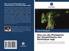 Bookcover of Was uns die Phylogenie der Herpetofauna von Martinique sagt