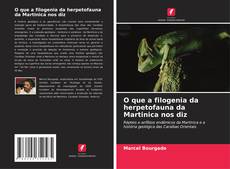 Buchcover von O que a filogenia da herpetofauna da Martinica nos diz