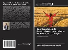 Portada del libro de Oportunidades de desarrollo en la provincia de Kwilu, R.D. Congo